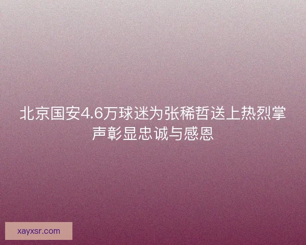 北京国安4.6万球迷为张稀哲送上热烈掌声彰显忠诚与感恩