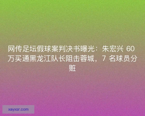 网传足坛假球案判决书曝光：朱宏兴 60 万买通黑龙江队长阻击蓉城，7 名球员分赃